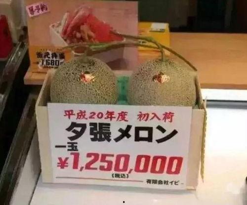 吃瓜娱乐铺,从娱乐八卦到月入十万的项目解析
