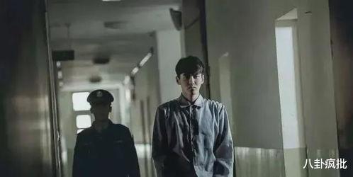 博士吃瓜娱乐圈,吃瓜背后的学术与娱乐交织