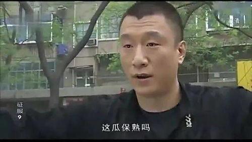 凯哥娱乐吃瓜,凯哥娱乐的崛起与陨落