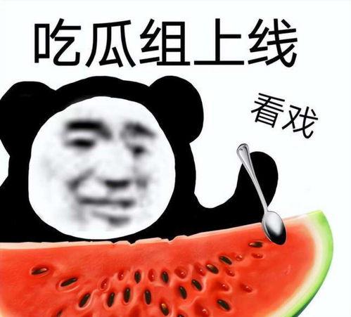 娱乐吃瓜酱怼亲戚,揭秘家庭欢乐背后的真相