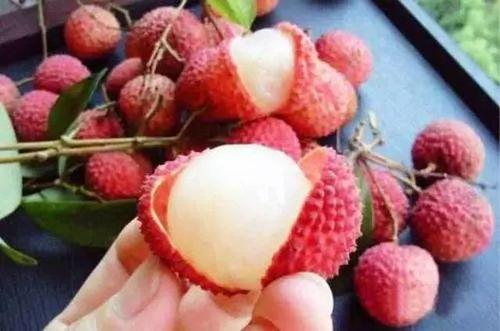 娱乐吃瓜酱荔枝视频,娱乐吃瓜酱带你揭秘娱乐圈幕后故事