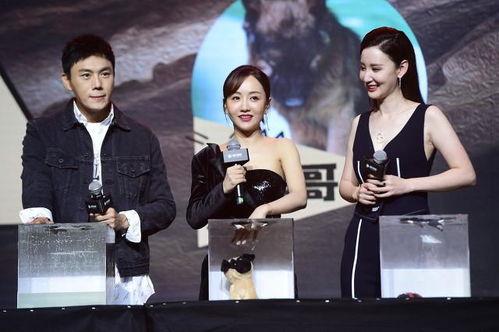 娱乐吃瓜热榜小说,吃瓜热榜背后的秘密故事