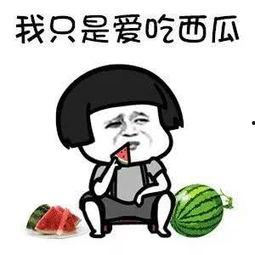 一线吃瓜娱乐圈讲了什么,一线吃瓜，揭秘明星幕后故事